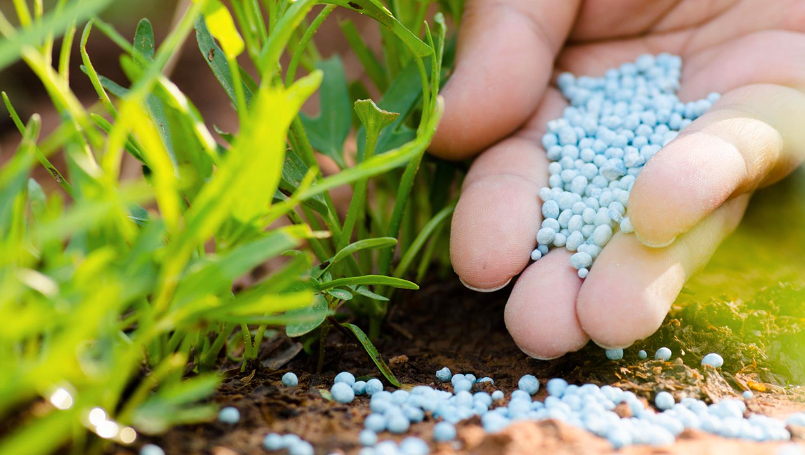 Nutrição e Fisiologia